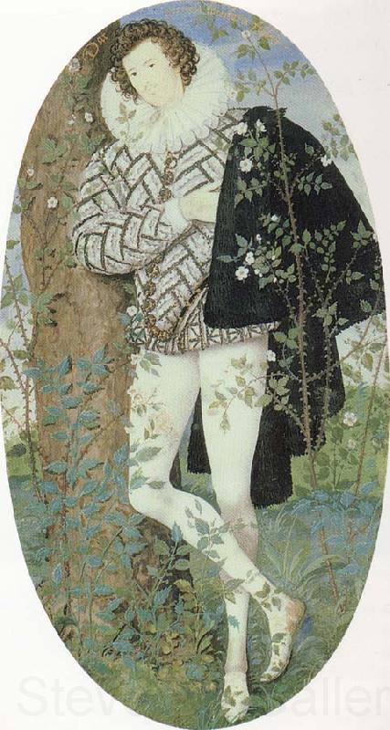 Nicholas Hilliard A Youth Leaning Against a Tree Among Roses Spain oil painting art